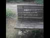 ���ߡ�����եȷ�Ź�ޤ���Ʊ���٥�ȡݥ��ʥиŲȶ������ǳ���