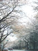 ����̾����륦�������󥰡����٥�ȡ�Ω���Ω����ͻ��ä�